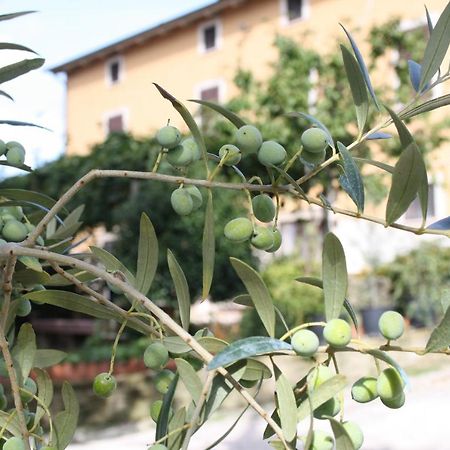 B&B Al Frantoio Chiusi Exteriör bild